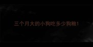 三个月大的小狗吃多少狗粮