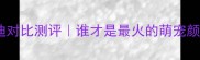 比熊和泰迪对比测评谁才是最火的萌宠颜值担当