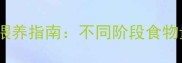 猫咪各月龄科学喂养指南不同阶段食物量与营养需求全