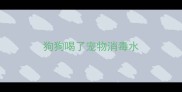 狗狗喝了宠物消毒水