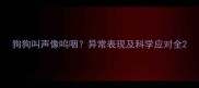 狗狗叫声像呜咽异常表现及科学应对全