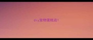 diy宠物蛋糕店