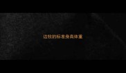 边牧的标准身高体重