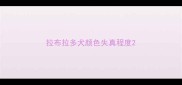 拉布拉多犬颜色失真程度