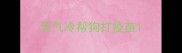 天气冷帮狗打疫苗