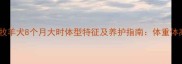 边境牧羊犬8个月大时体型特征及养护指南体重体高全