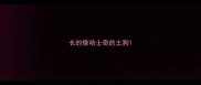 长的像哈士奇的土狗