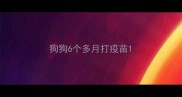 狗狗6个多月打疫苗