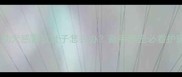 哈士奇幼犬感冒拉肚子怎么办新手养宠必看护理指南