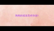 狗狗的疫苗怎样存放