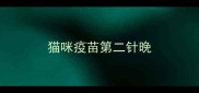 猫咪疫苗第二针晚