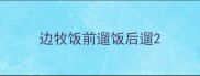 边牧饭前遛饭后遛
