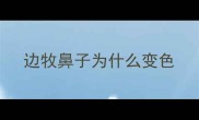 边牧鼻子为什么变色