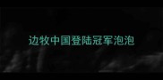 边牧中国登陆冠军泡泡
