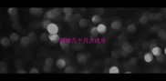 萨摩几个月大成年