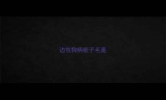 边牧狗柄梳子毛是