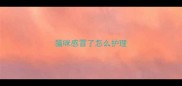 猫咪感冒了怎么护理