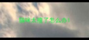 猫咪太瘦了怎么办