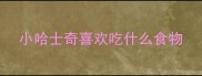小哈士奇喜欢吃什么食物