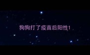 狗狗打了疫苗后阳性