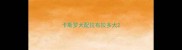 卡斯罗犬配拉布拉多犬