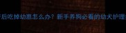 狗狗生产后吃掉幼崽怎么办新手养狗必看的幼犬护理指南