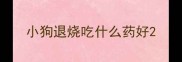 小狗退烧吃什么药好