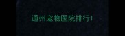 通州宠物医院排行