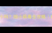 狗狗疫苗期间会得细小吗细小病毒全攻略疫苗期必看护理指南