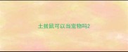 土拔鼠可以当宠物吗