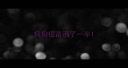 狗狗疫苗洒了一半