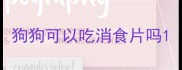 狗狗可以吃消食片吗