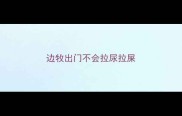边牧出门不会拉尿拉屎