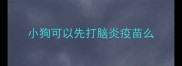 小狗可以先打脑炎疫苗么