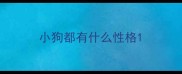 小狗都有什么性格