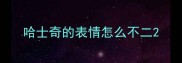 哈士奇的表情怎么不二