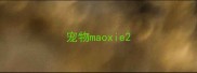 宠物maoxie