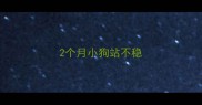 2个月小狗站不稳
