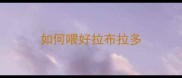 如何喂好拉布拉多