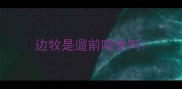 边牧是遛前喂食吗