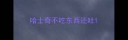 哈士奇不吃东西还吐