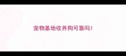 宠物基地收养狗可靠吗