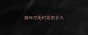 猫咪交配时需要多久