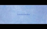 白色泰迪怎样漂白