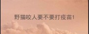 野猫咬人要不要打疫苗