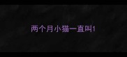 两个月小猫一直叫