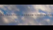 猫咪鼻头干燥发白怎么办资深兽医详解7大诱因及专业护理指南