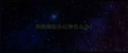 狗狗脚趾头红肿怎么办