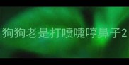 狗狗老是打喷嚏哼鼻子