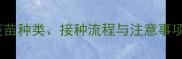 猫咪疫苗证全疫苗种类接种流程与注意事项养猫必看指南